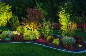 Vista su area verde con piante basse e medie ben illuminate con faretti IP65